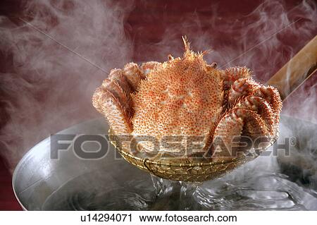 Boiled Crab View Large Photo Image Stock Image - Boiled Crab. Fotosearch