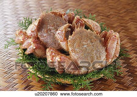 Crab View Large Photo Image Stock Image - Crab. Fotosearch