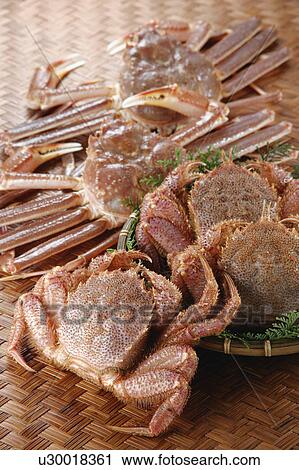Stock Image - Crab. Fotosearch