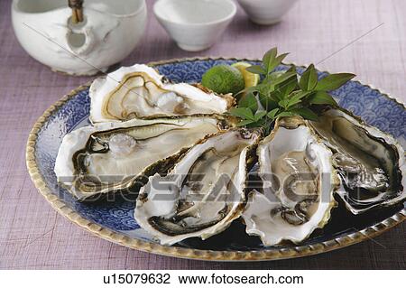 Oysters on plate View Large Photo Image Stock Image - Oysters on plate. Fotosearch