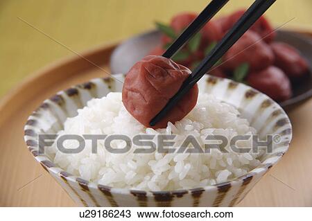 Pickled plum and steamed rice View Large Photo Image Stock Image - Pickled plum and steamed rice. Fotosearch
