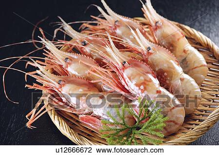 Prawns View Large Photo Image Stock Image - Prawns. Fotosearch