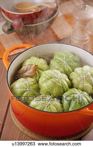 Stock Image - Rolled up cabbage. Fotosearch