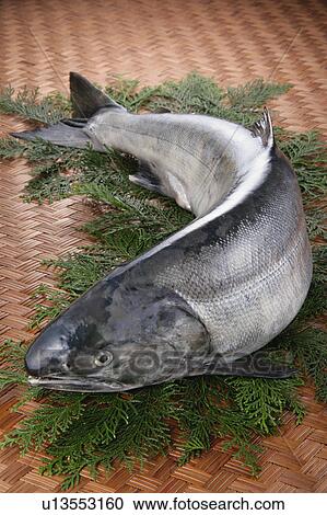 Stock Image - Salmon. Fotosearch