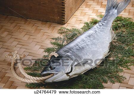 Salted salmon View Large Photo Image Stock Photo - Salted salmon. Fotosearch