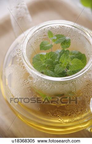Stock Photography - Herbal tea in glass teapot. Fotosearch