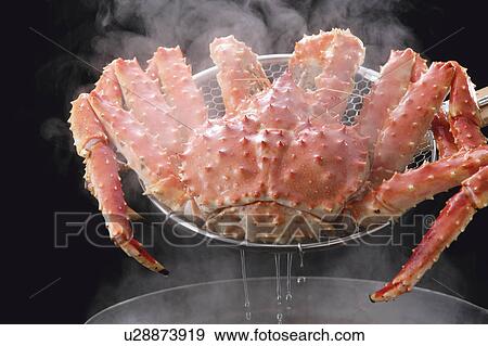 Stock Photo - Boiled king crab. Fotosearch