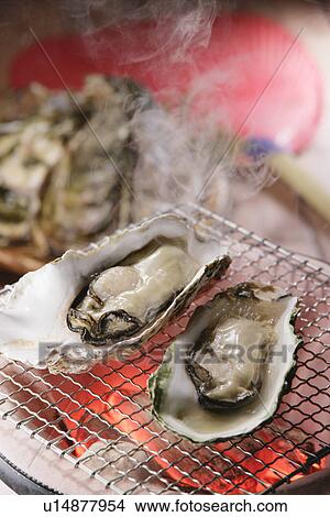 Picture - Oyster. Fotosearch