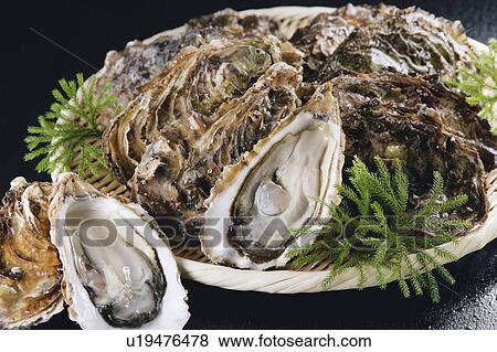 Stock Photo - Oysters. Fotosearch