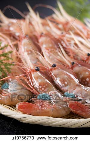 Stock Image - Prawns. Fotosearch