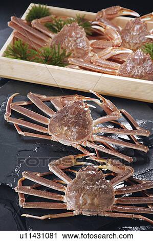 Queen crabs View Large Photo Image Stock Image - Queen crabs. Fotosearch