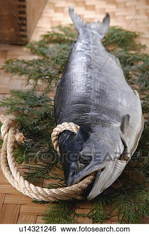 Stock Photograph - Salted salmon. Fotosearch