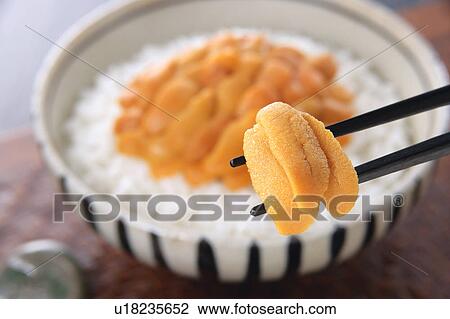 Stock Image - Sea urchin on rice in bowl. Fotosearch