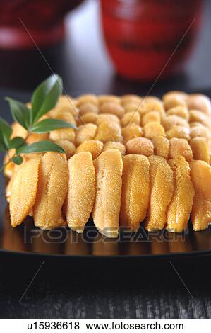 Stock Photo - Sea urchin. Fotosearch