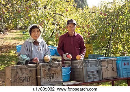 Stock Image - Apple growers. Fotosearch