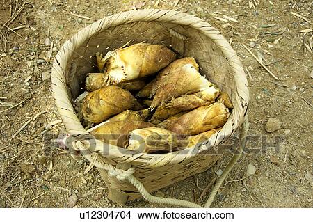 Picture - Bamboo shoots in basket. Fotosearch