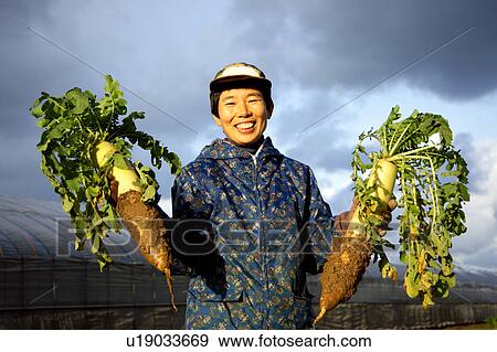 Stock Photo - Farmer holding Daikon Radish. Fotosearch