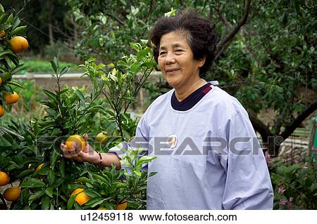 Stock Photo - Farmer holding tangerine. Fotosearch