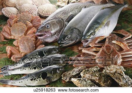 Assorted raw fish View Large Photo Image Stock Image - Assorted raw fish. Fotosearch