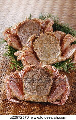 Stock Image - Crab. Fotosearch