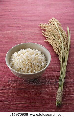 Steamed brown rice View Large Photo Image Stock Photograph - Steamed brown rice. Fotosearch
