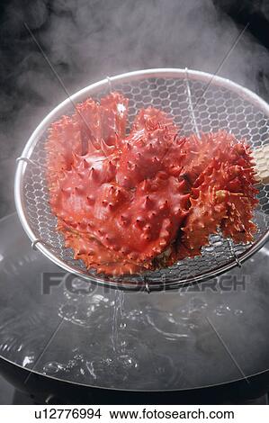 Boiled hanasaki crab View Large Photo Image Picture - Boiled hanasaki crab. Fotosearch
