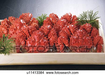 Picture - Boiled hanasaki crabs. Fotosearch