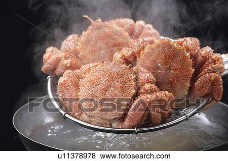 Stock Photo - Boiled horsehair crabs. Fotosearch
