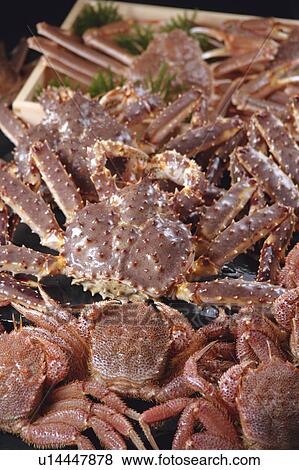 Stock Photo - Crabs. Fotosearch