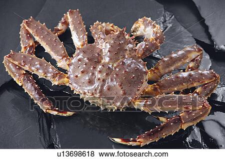 King crab View Large Photo Image Stock Photo - King crab. Fotosearch