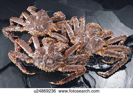 King crabs View Large Photo Image Stock Photograph - King crabs. Fotosearch