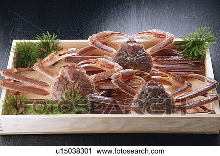 Stock Image - Queen crabs. Fotosearch
