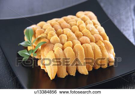 Stock Photograph - Sea urchin. Fotosearch