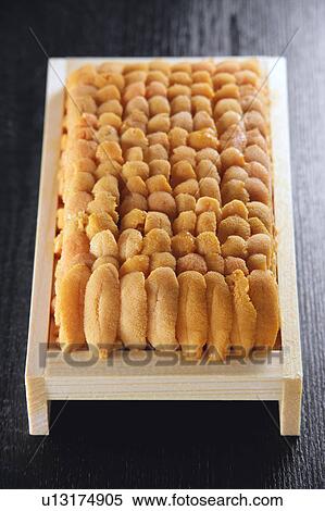 Sea urchin View Large Photo Image Stock Photography - Sea urchin. Fotosearch