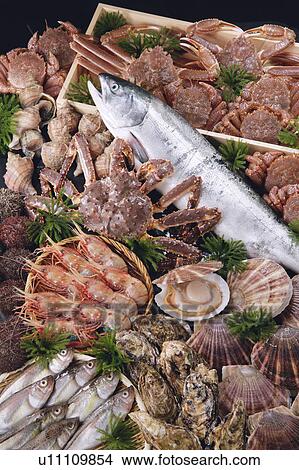 Picture - Seafood. Fotosearch