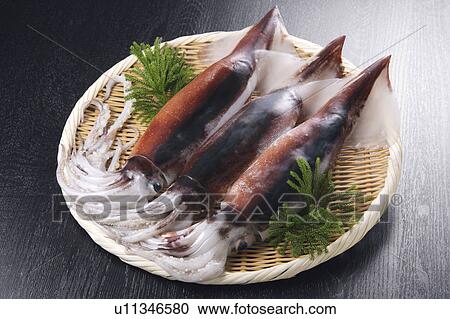 Stock Image - Squids. Fotosearch