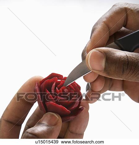 Stock Photo - African-American male hands carving a red beet into a rose.. Fotosearch