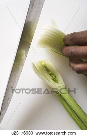 African-American male hands using large kitchen knife to chop fennel. View Large Photo Image Stock Image - African-American male hands using large kitchen knife to chop fennel.. Fotosearch