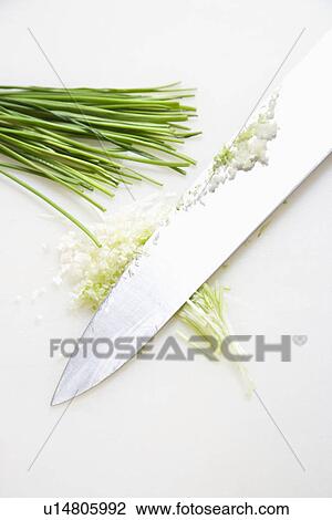 Freshly chopped chives with kitchen knife resting on countertop. View Large Photo Image Stock Image - Freshly chopped chives with kitchen knife resting on countertop.. Fotosearch