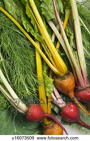 Stock Photo - Freshly washed red and golden beets resting on lettuce leaf.. Fotosearch