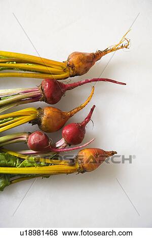 Stock Photo - Freshly washed red and golden beets resting on counter top.. Fotosearch