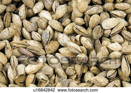 Stock Image - Almonds. Fotosearch