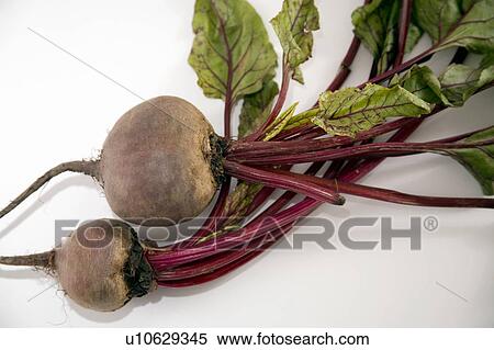 Stock Photography - Beet bulbs with greens. Fotosearch