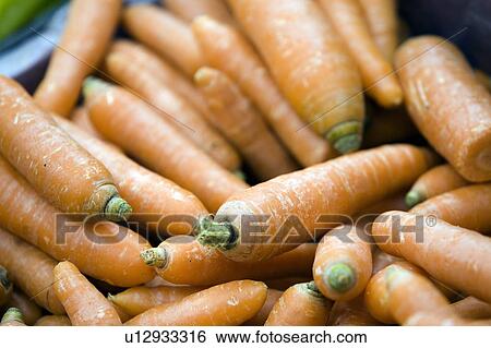 Carrots View Large Photo Image Stock Photograph - Carrots. Fotosearch