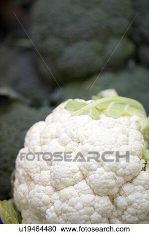 Cauliflower head View Large Photo Image Stock Image - Cauliflower head. Fotosearch
