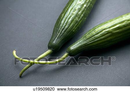Cucumbers, black background View Large Photo Image Stock Image - Cucumbers, black background. Fotosearch