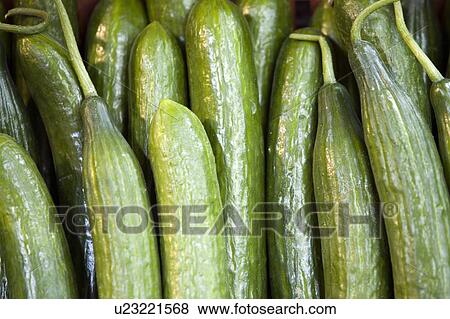 Cucumbers View Large Photo Image Stock Photo - Cucumbers. Fotosearch