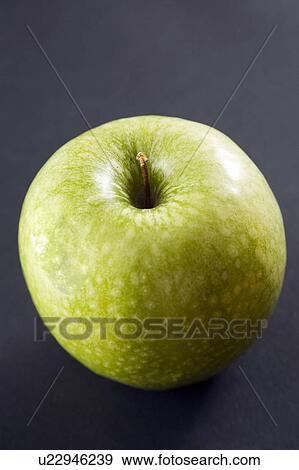 Granny Smith apple, black background View Large Photo Image Stock Photo - Granny Smith apple, black background. Fotosearch