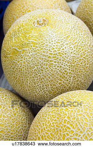 Stock Image - Melons. Fotosearch