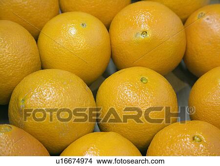 Oranges View Large Photo Image Picture - Oranges. Fotosearch